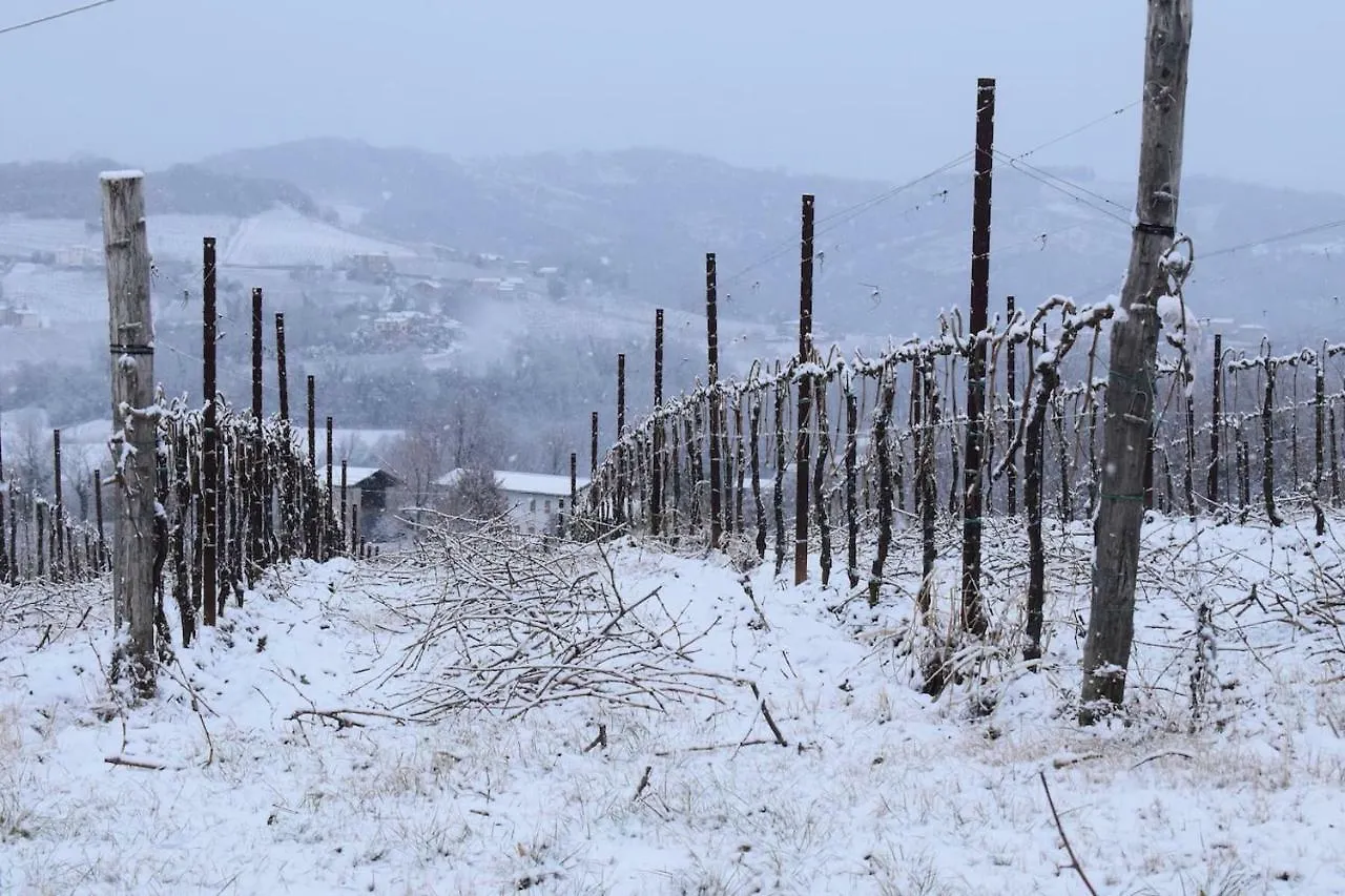 Accogliente rustico in Prosecco Valley San Pietro Di Feletto