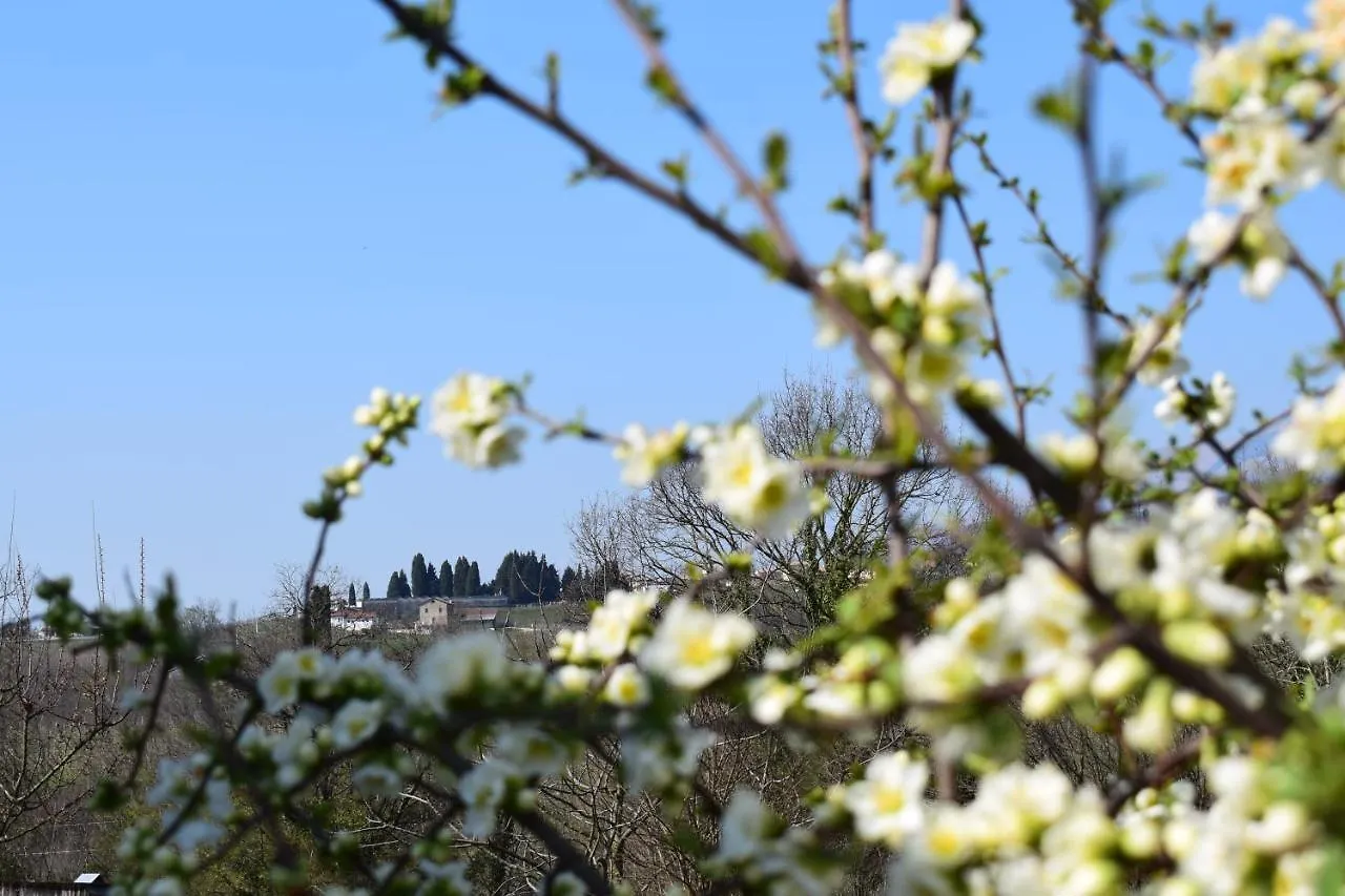Villa Accogliente rustico in Prosecco Valley San Pietro Di Feletto